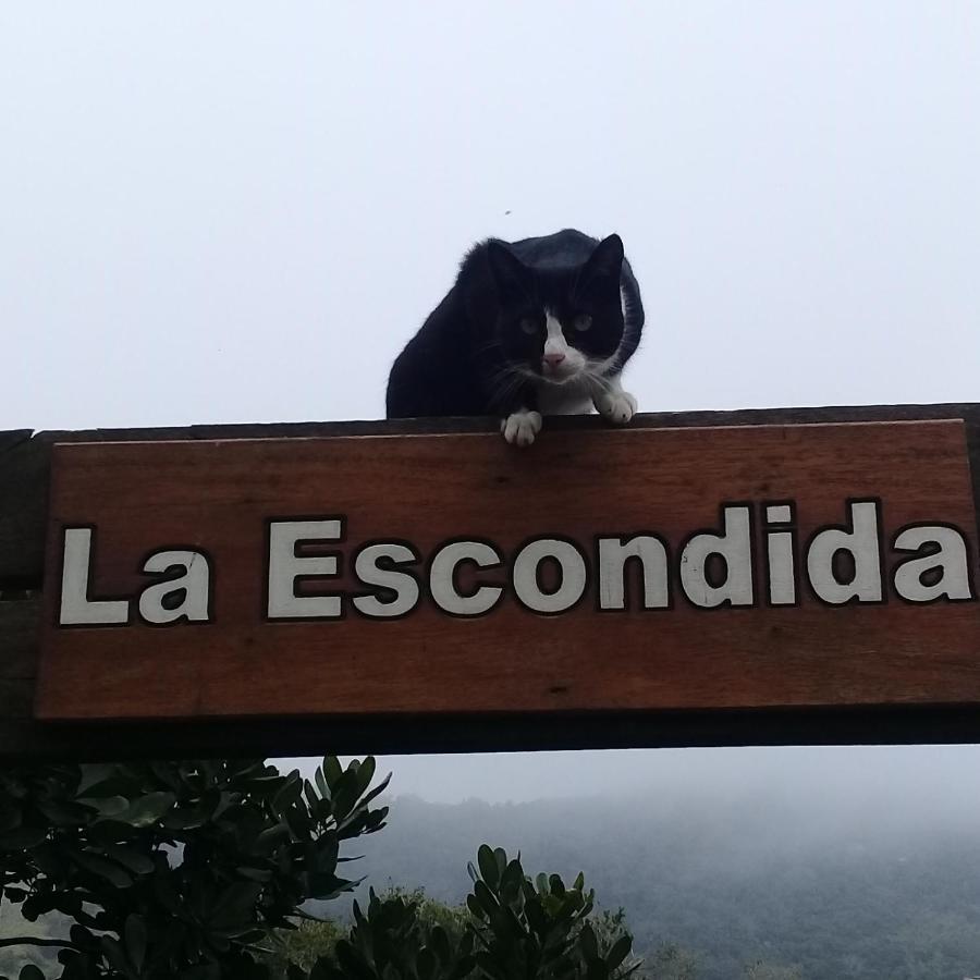 Вилла La Escondida Прайя-ду-Роза Экстерьер фото